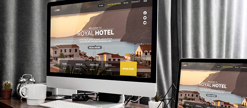 Website design and programming