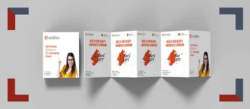 The brochure